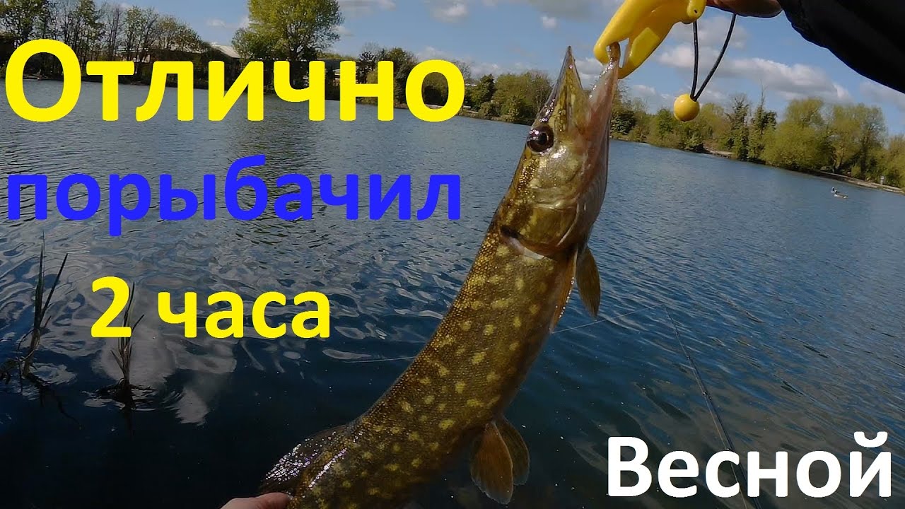 Отлично порыбачил 2 часа весной/Excellent fishing for 2 hours in the spring.