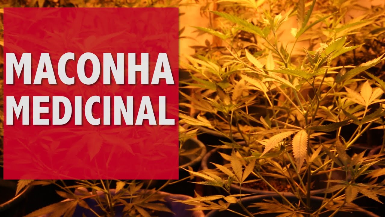 Maconha Medicinal: legalize j&aacute;