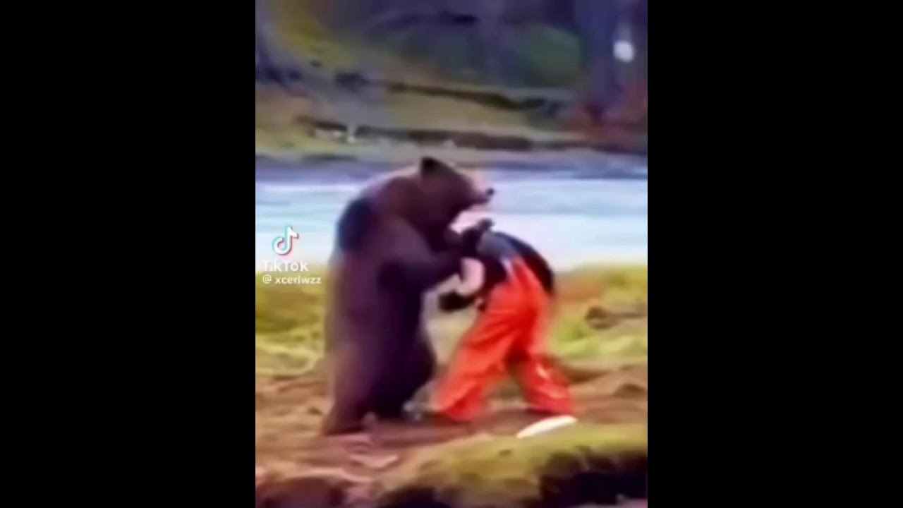 modo ultra oso