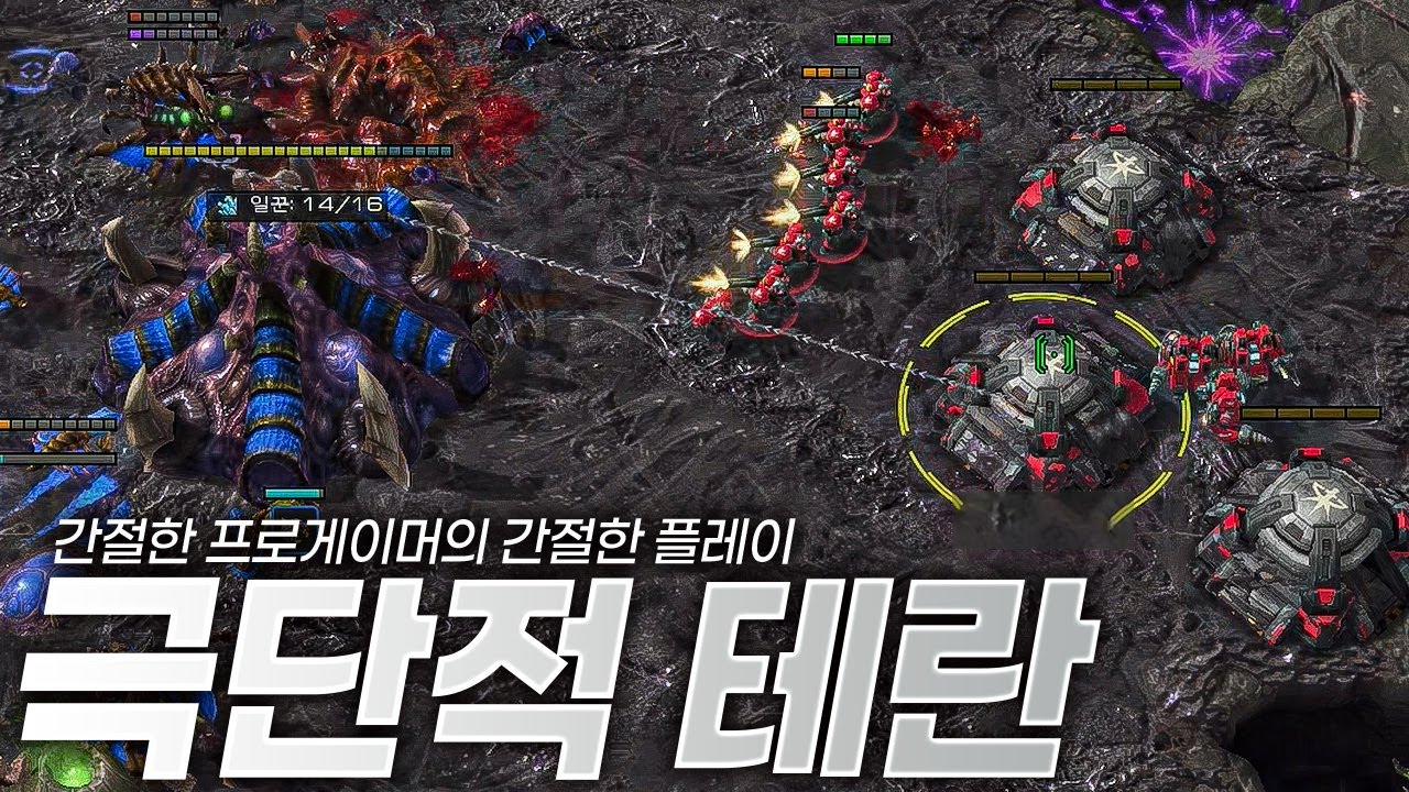 간절한 테란의 극단적 플레이
