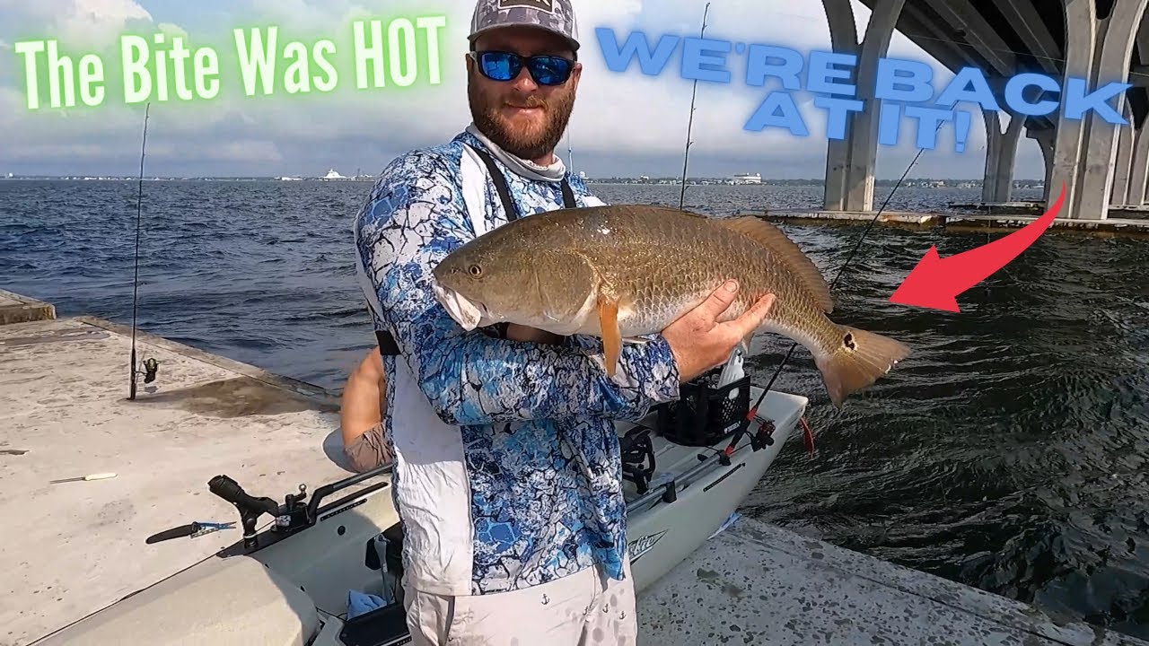 3 Mile Bridge Was FISHY!