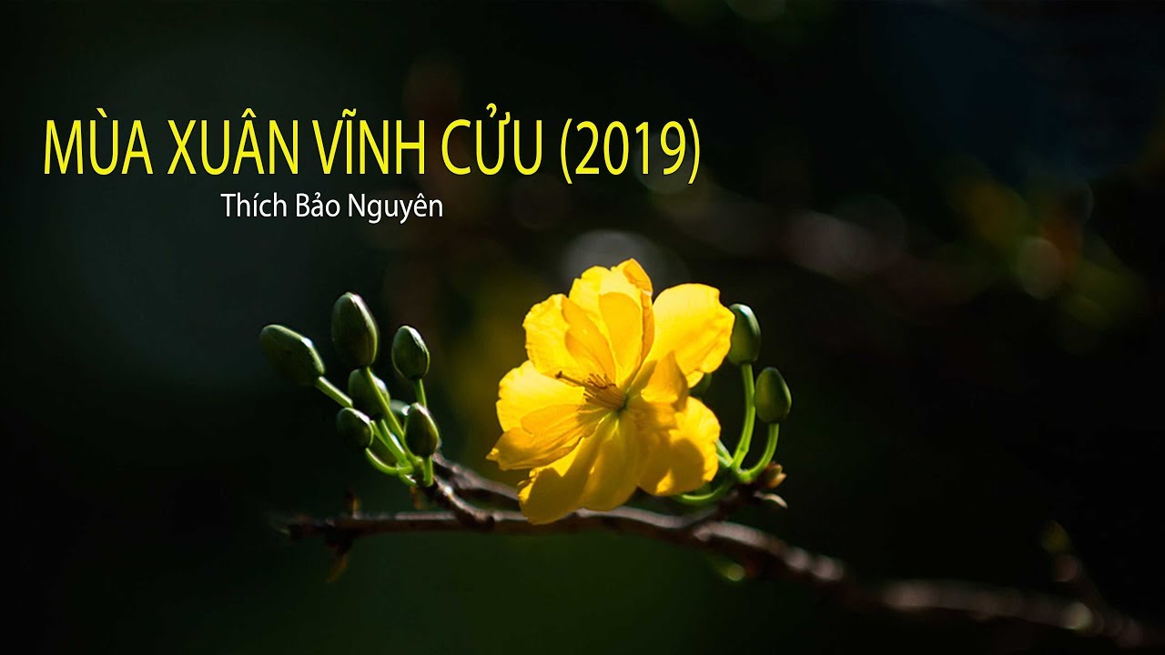 MÙA XUÂN VĨNH CỬU (2019) - Thích Bảo Nguyên