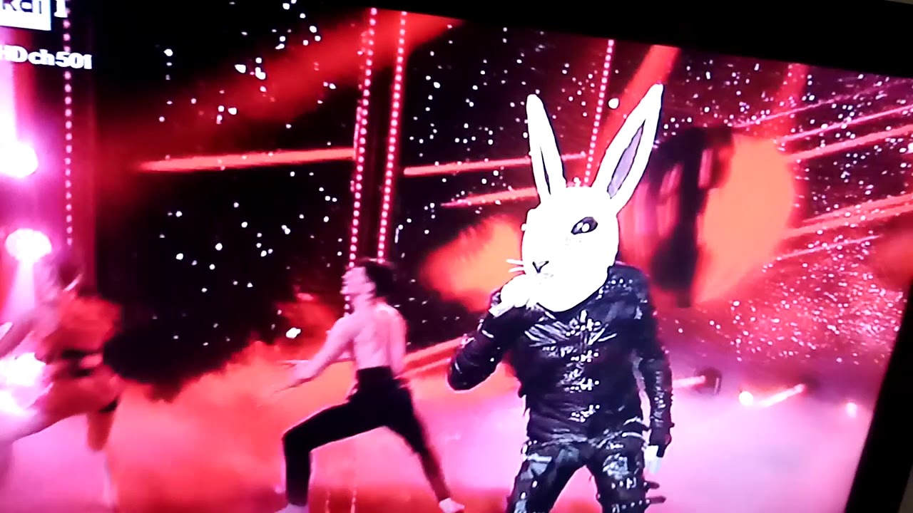 Coniglio rock Rai1