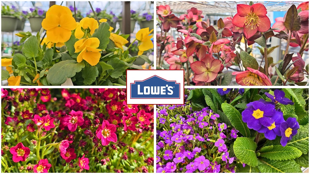 NEW at Lowe&rsquo;s Garden Center | Late March 2026 Spring Plants, Perennials & Shrubs!
