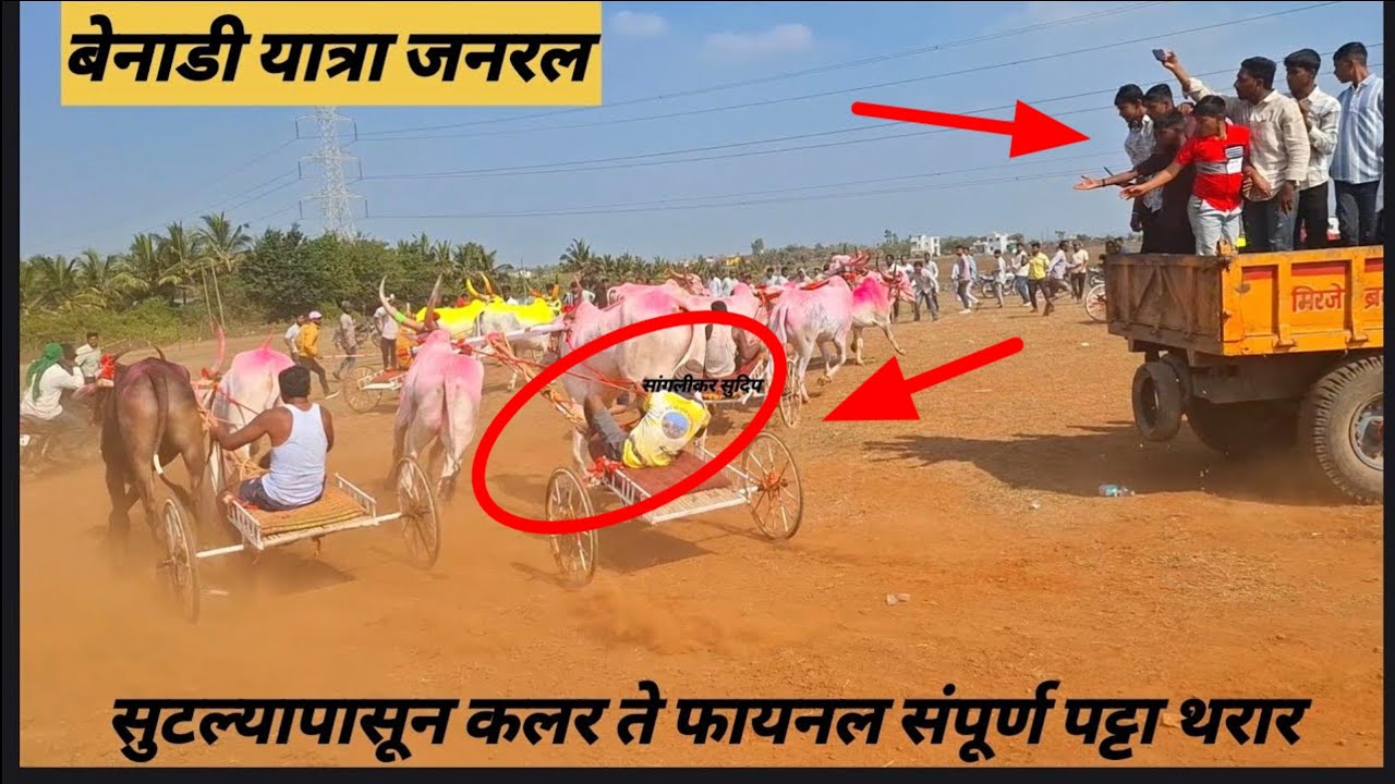 बेनाडी यात्रा 2025 | 1 दानोळी फाकड्या-शेठ राजा 2 दानवाड काळ-घालवाड सोन्या 3 सांगोला राजा-शूटर बैज्या