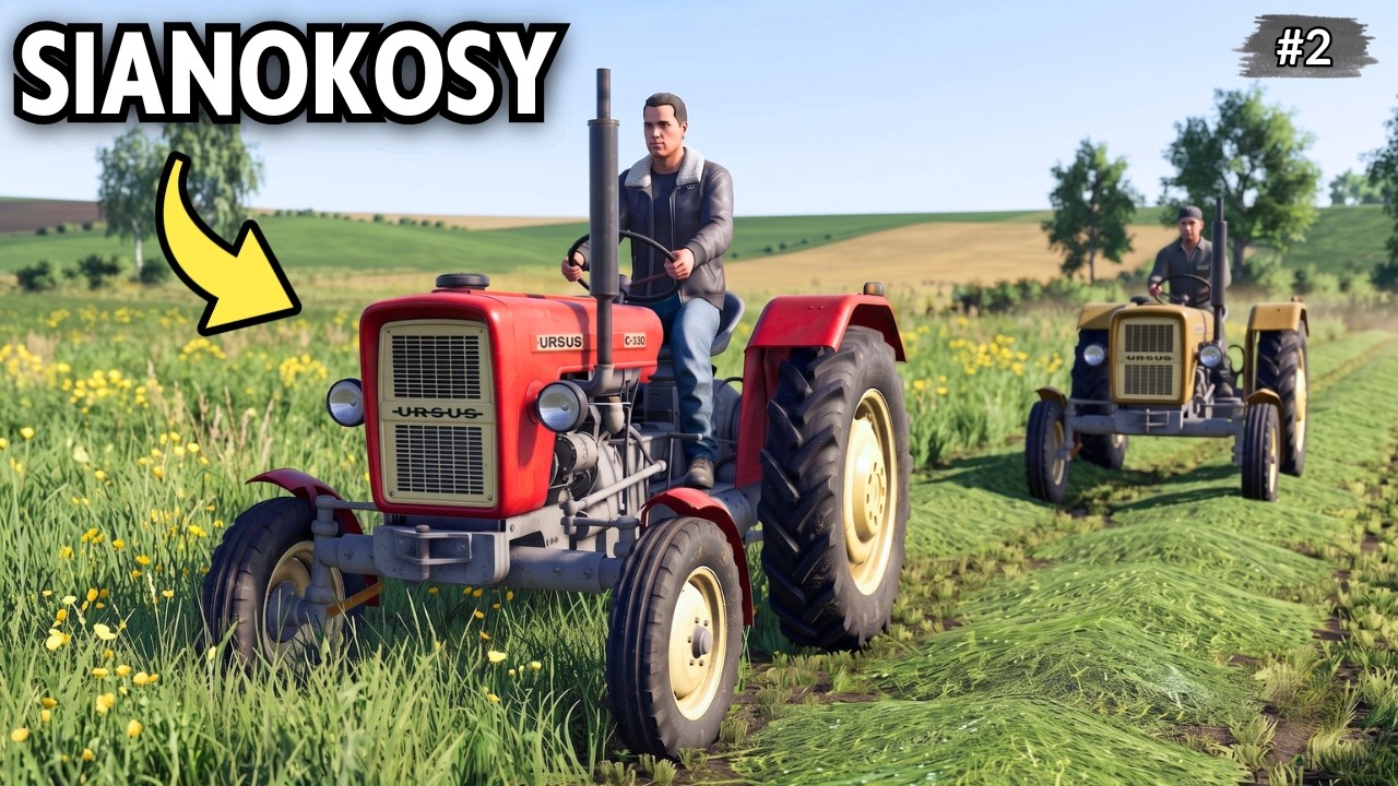 KROWY NIE MAJĄ CO JEŚĆ 🌻 Sianokosy URSUSEM 🌻 Oporowo #2