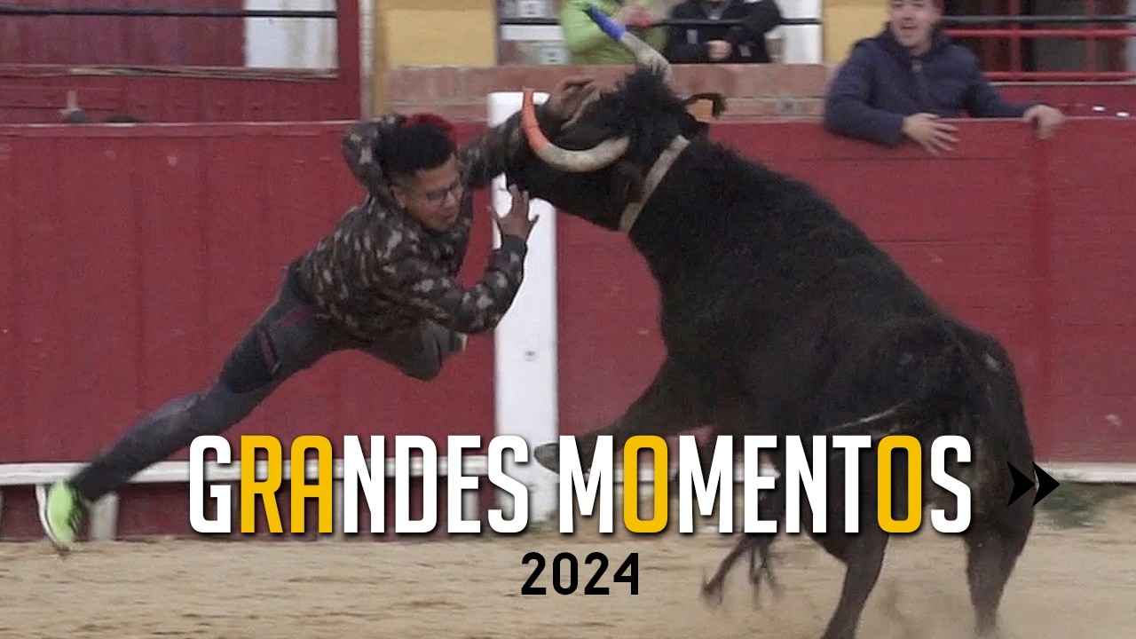 🤩 GRANDES MOMENTOS de 2024 &middot;  Novena parte