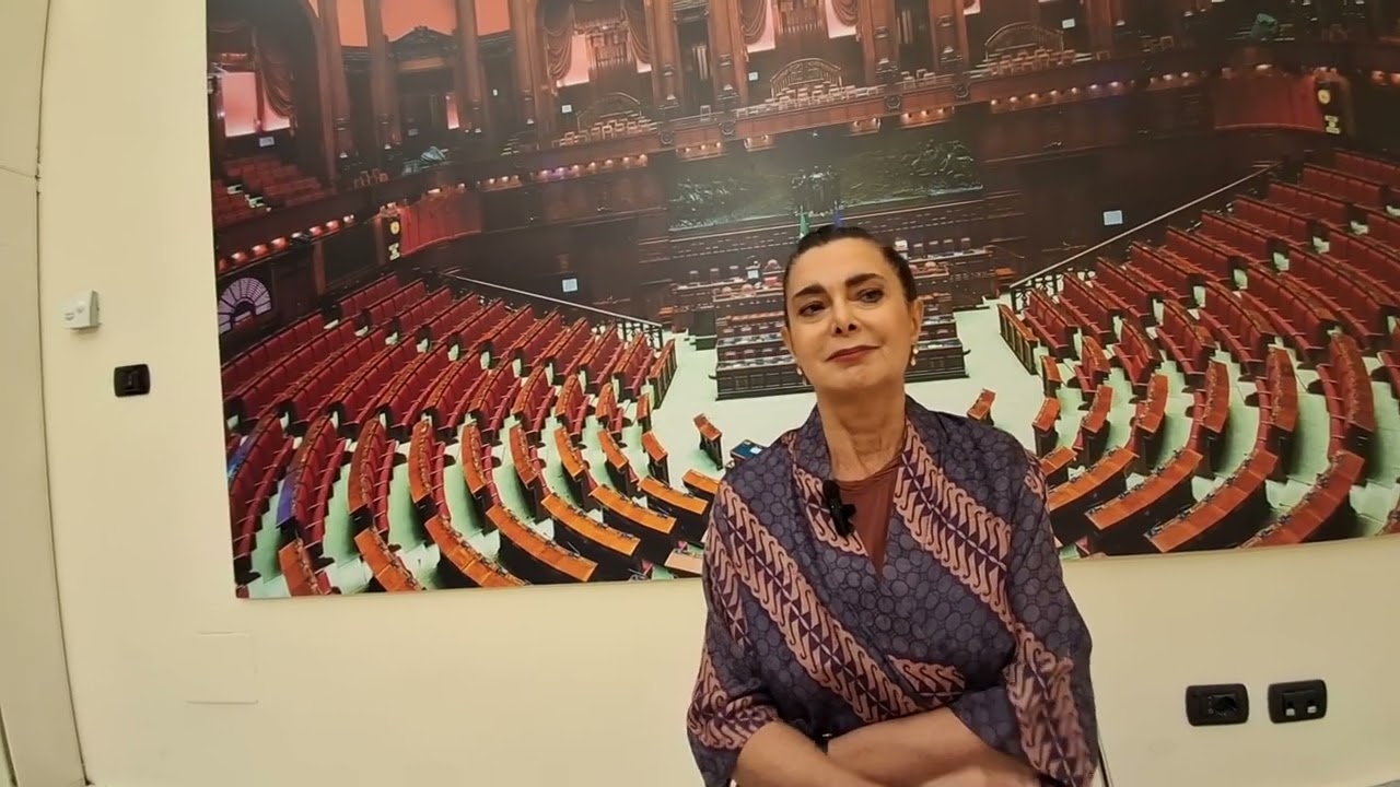 Il generale Vannaccius contro Laura Boldrini