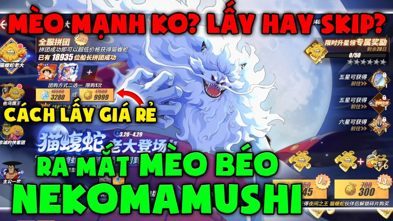 Review Chi Tiết PVE và PVP Vua Mèo NEKOMAMUSHI Có Nên Lấy Nhân Vật Này? One Piece Fighting Path