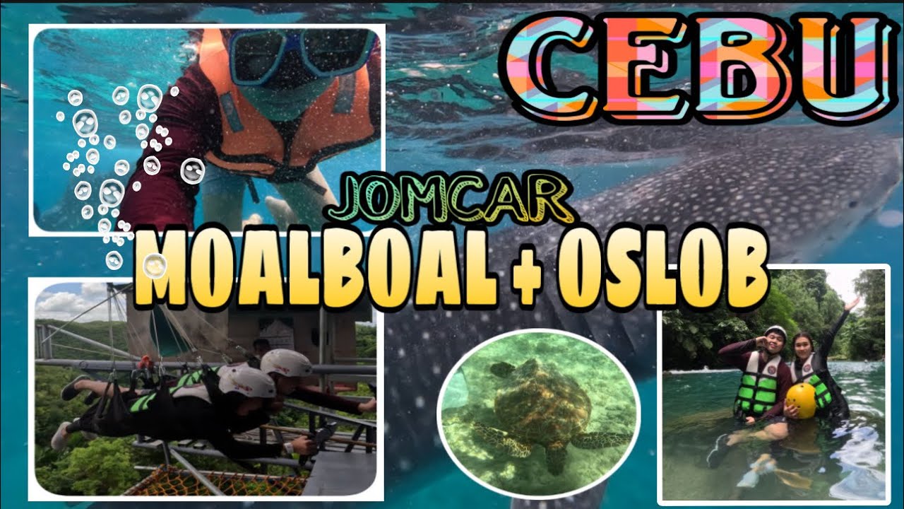SARDINE RUN + TURTLE WATCHING and SWIMMING WITH WHALE SHARKS IN CEBU | TEAM KALINGAP | JOMCAR