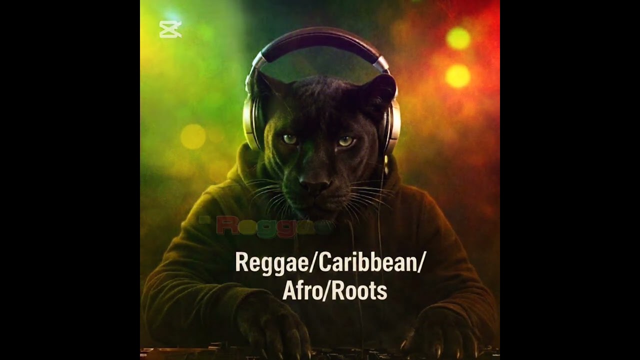 BlackPantherNL - Reggae Night. 