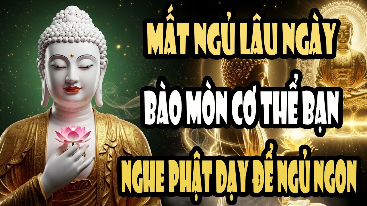 Mất Ngủ Kéo Dài Đang Bào Mòn Bạn – Nghe Lời Phật Dạy Để An Tâm Và Ngủ Ngon
