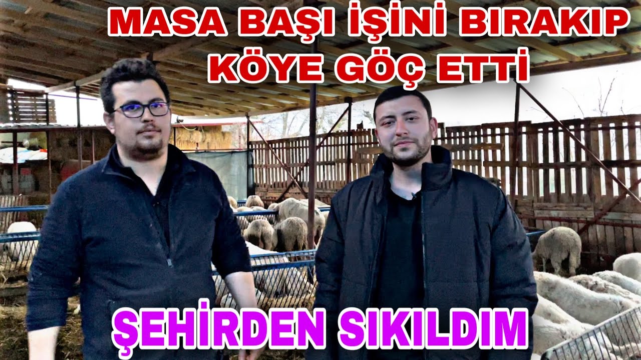 37 KOYUNLA 200 KOYUNA ULAŞTI~ ŞEHİRDEN KÖYE GÖÇ EDİP HAYVANCILIĞA BAŞLADI