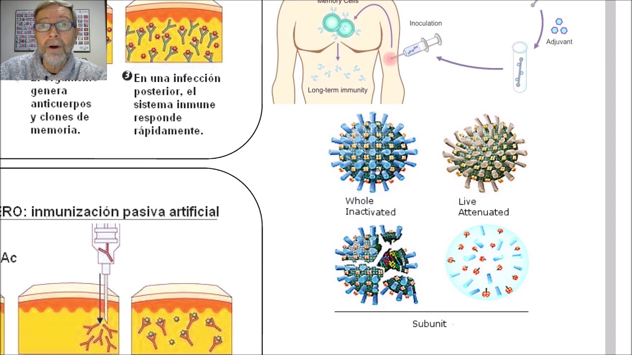 Vacunas y sueros. Tipos de inmunidad  V50.