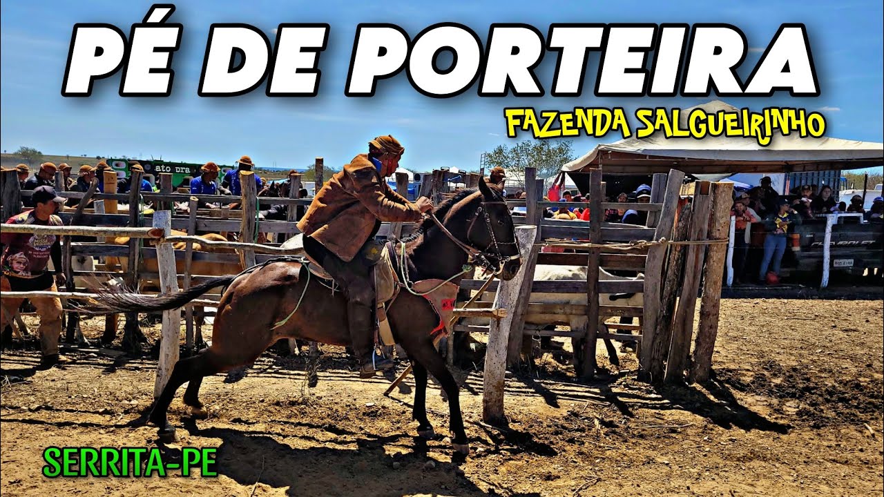 PEGA DE BOI DO JACÓ EM SERRITA-PE