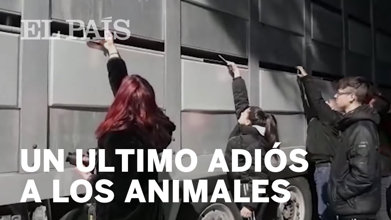 Vigilias veganas para visibilizar la lucha contra el maltrato animal