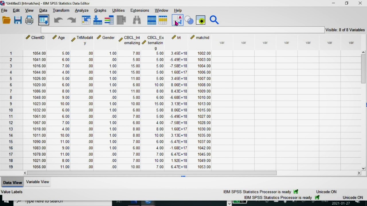 Case-Control Matching | SPSS