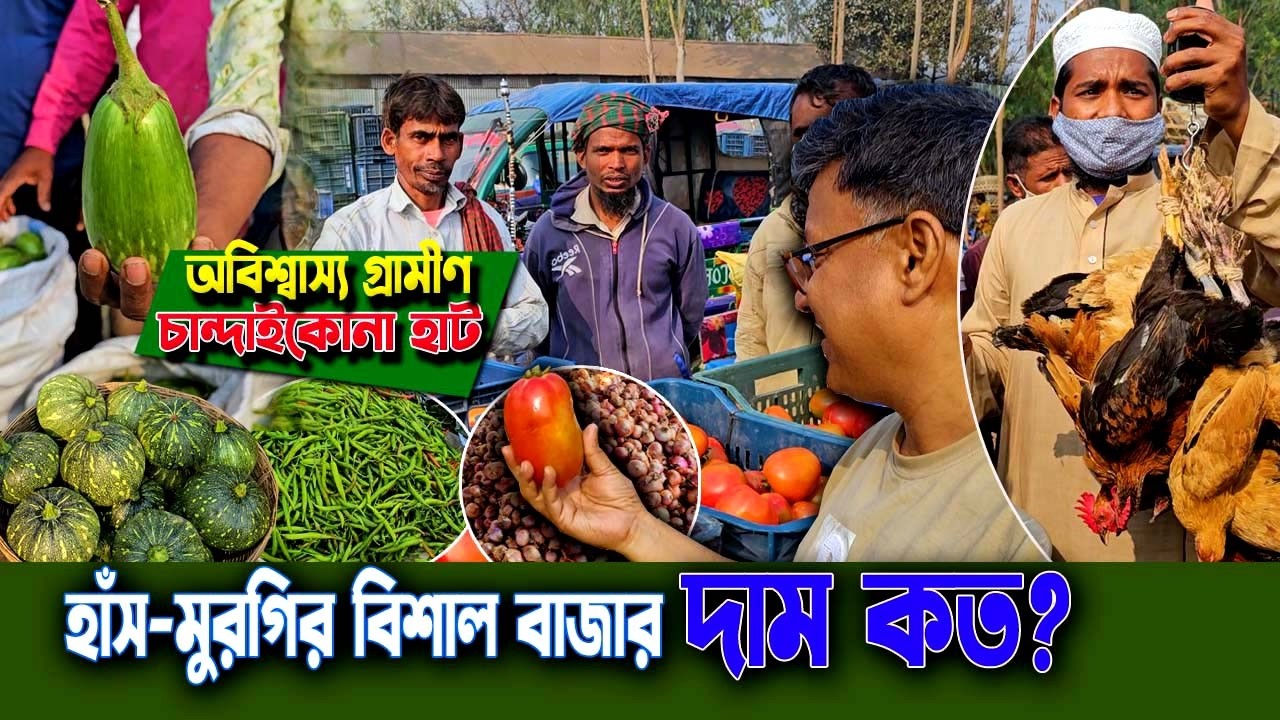 অবিশ্বাস্য চান্দাইকোনা হাট ! দেশি হাঁস-মুরগি, রাজহাঁস, চীনাহাঁস ও টাটকা সবজির বিশাল পাইকারি বাজার