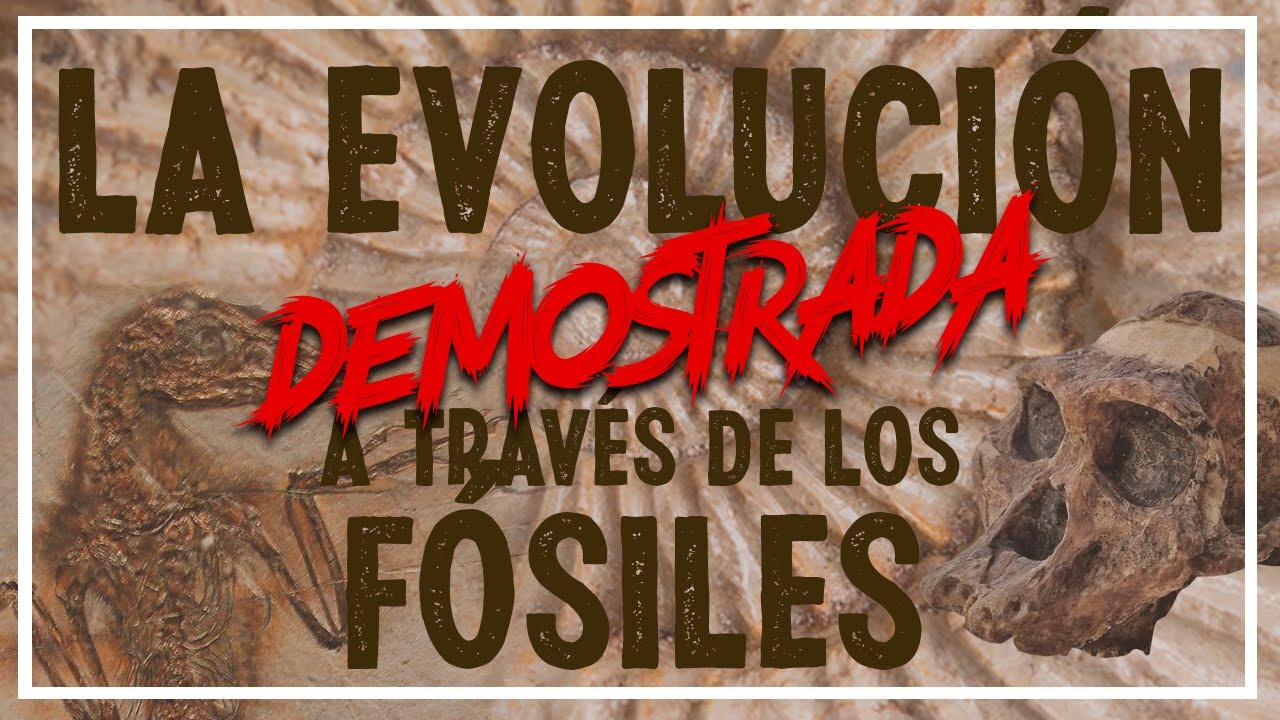 La EVOLUCIÓN, DEMOSTRADA por los FÓSILES