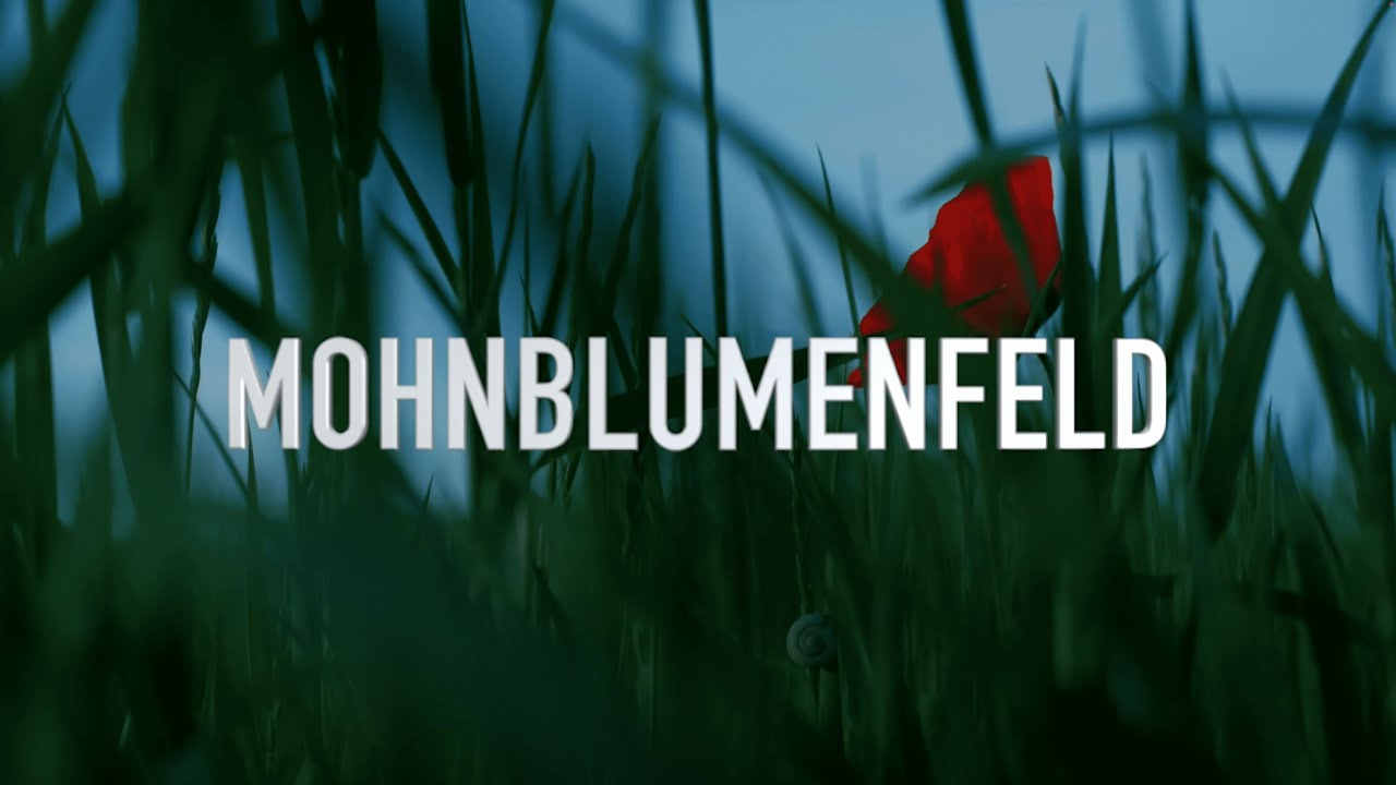 Max Schmiedl -MOHNBLUMENFELD (offical Musikvideo)