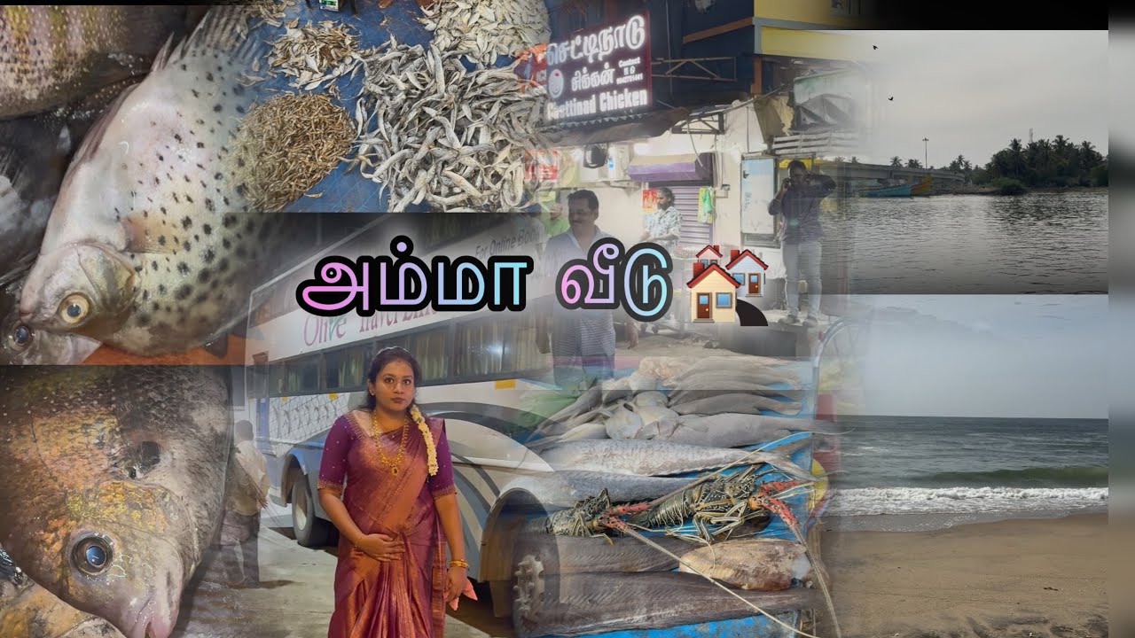 Bangalore to Cuddalore ❤️Amma Veedu Vlog🧚🏻