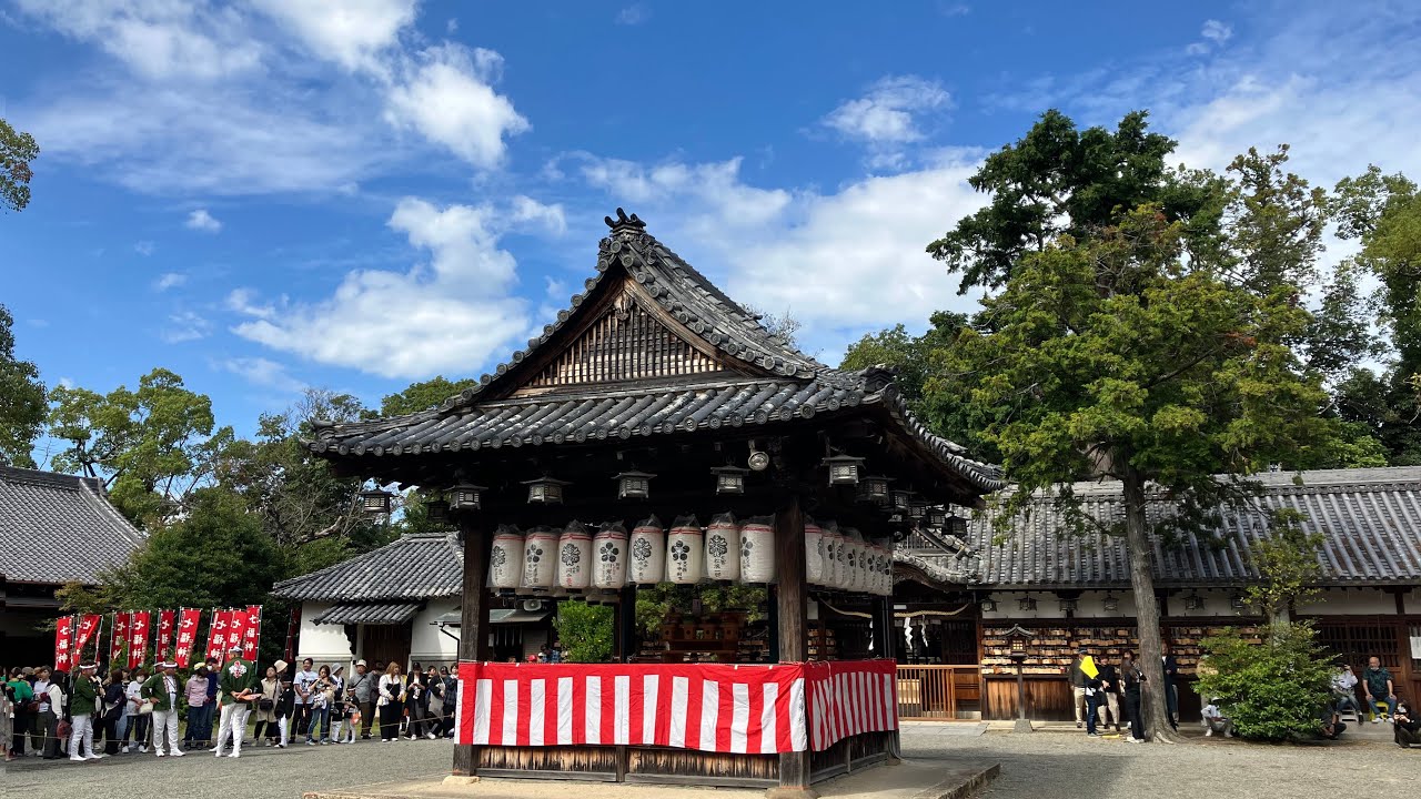 令和7年10月11日   熊取だんじり  宮入後「オクノ衣料店前」やりまわし  #だんじり  #泉州  #宮入  #祭り  #やりまわし 