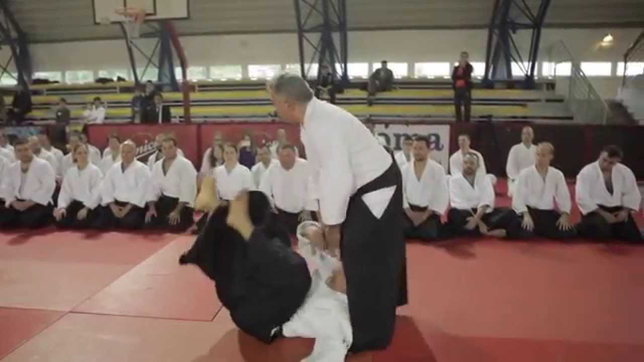 Wilko Vriesman Sensei, 6 DAN