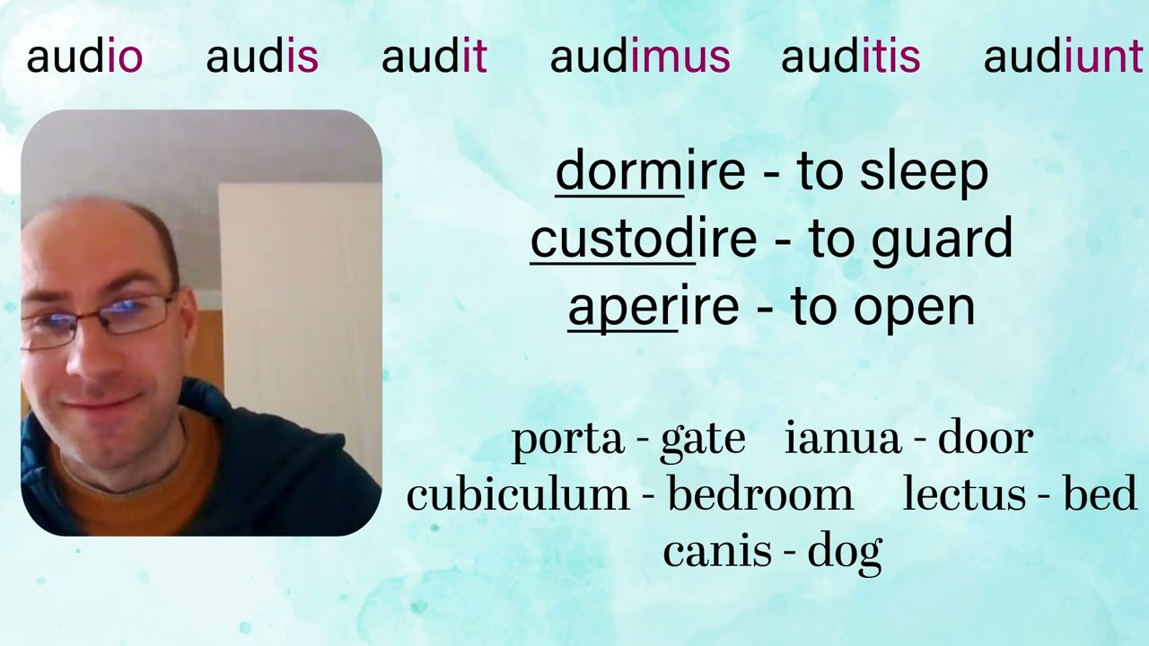 Lesson 4.2: A few new verbs