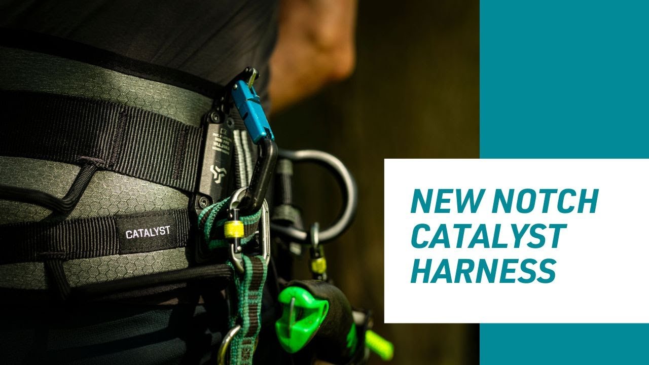 Notch Catalyst Harness