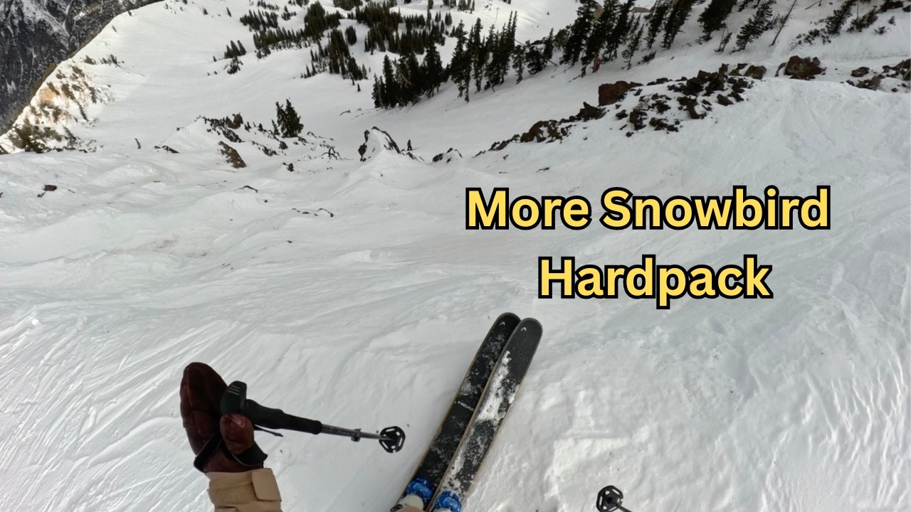 Snowbird vlog 2