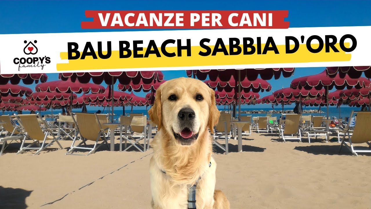 Le migliori spiagge per cani d'Italia |E03| Bau Miao Beach Lido Sabbia D'Oro in Abruzzo