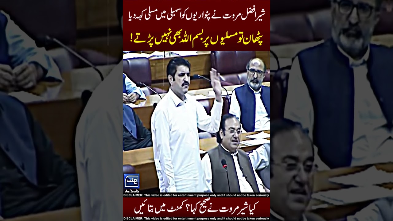 Sher Afzal Marwat Vs Patwari 😂🤣 Do Share !!