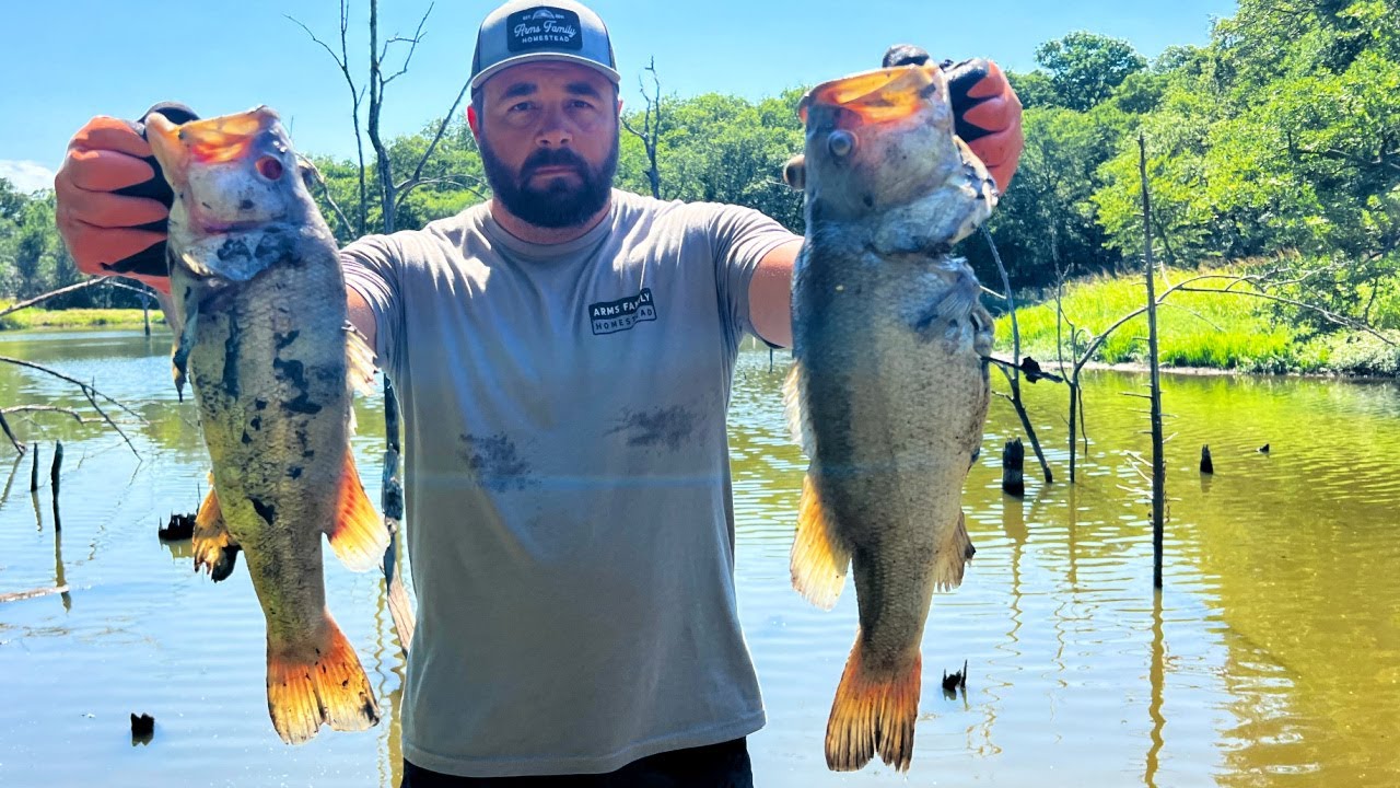 Our Bass Pond is DEAD!