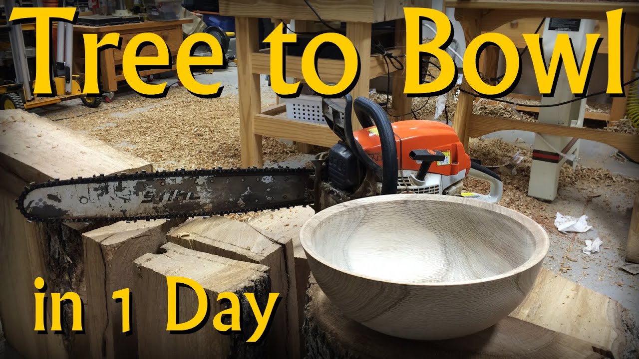 From a Tree to a Bowl in One Day