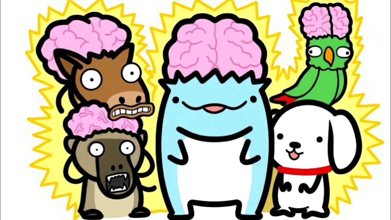 Animais Mais Inteligentes que Seres Humanos (Sim, Você Incluso)
