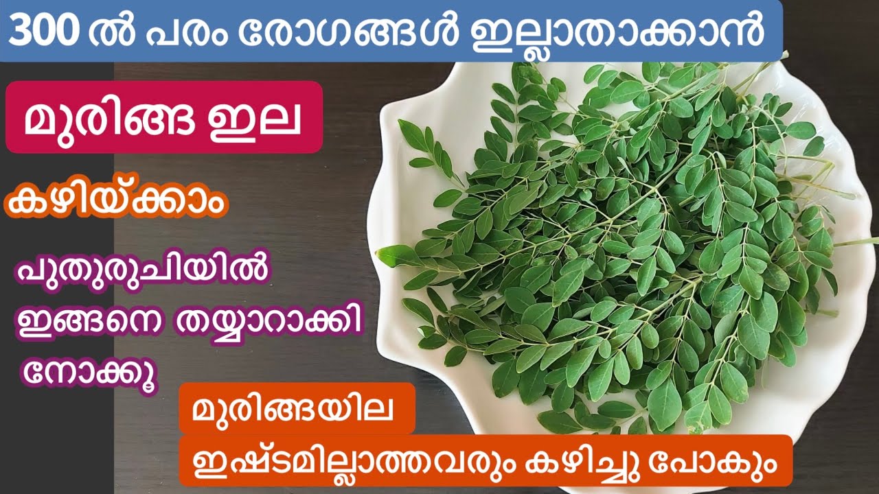 2 നാടൻ മുരിങ്ങ ഇല Recipes//ദിവസവും ഒരു പിടി കഴിയ്ക്കൂ ആരോഗ്യം സംരക്ഷിക്കൂ//Muringayila Recipes