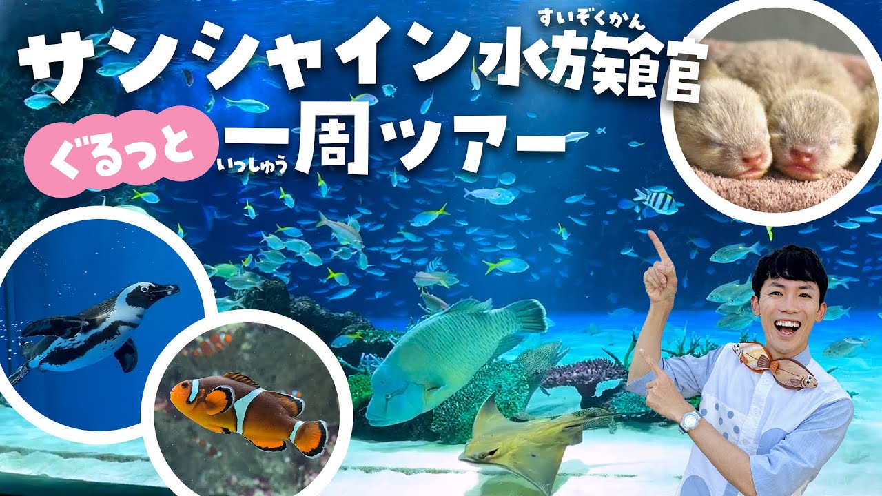 行く前に見て！サンシャイン水族館が100倍楽しめる徹底解説ツアー（sunshine aquarium tokyo）