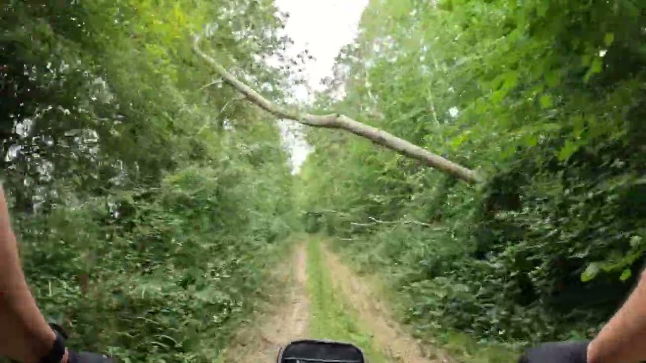 VTT - FORÊT DE CHENOISE - PARCOURS COMPLÊT 13 KMS