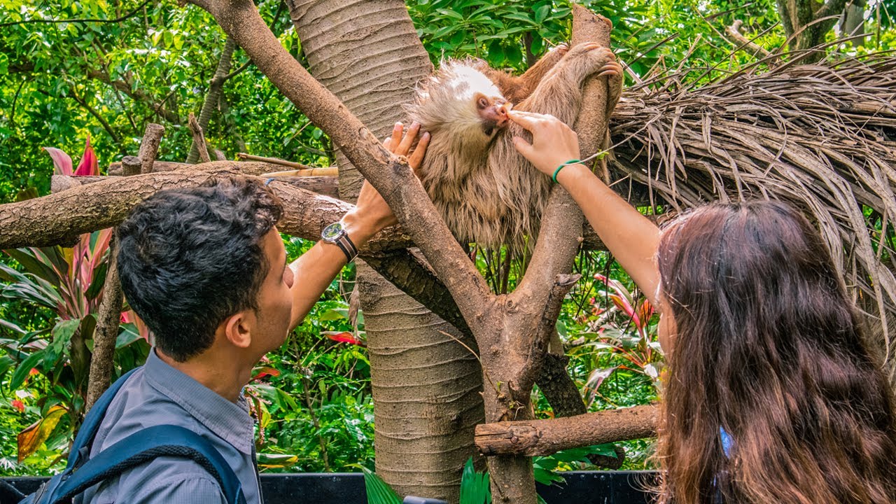 EN ESTE LUGAR SALVAN ANIMALES | Refugio Animal de Costa Rica