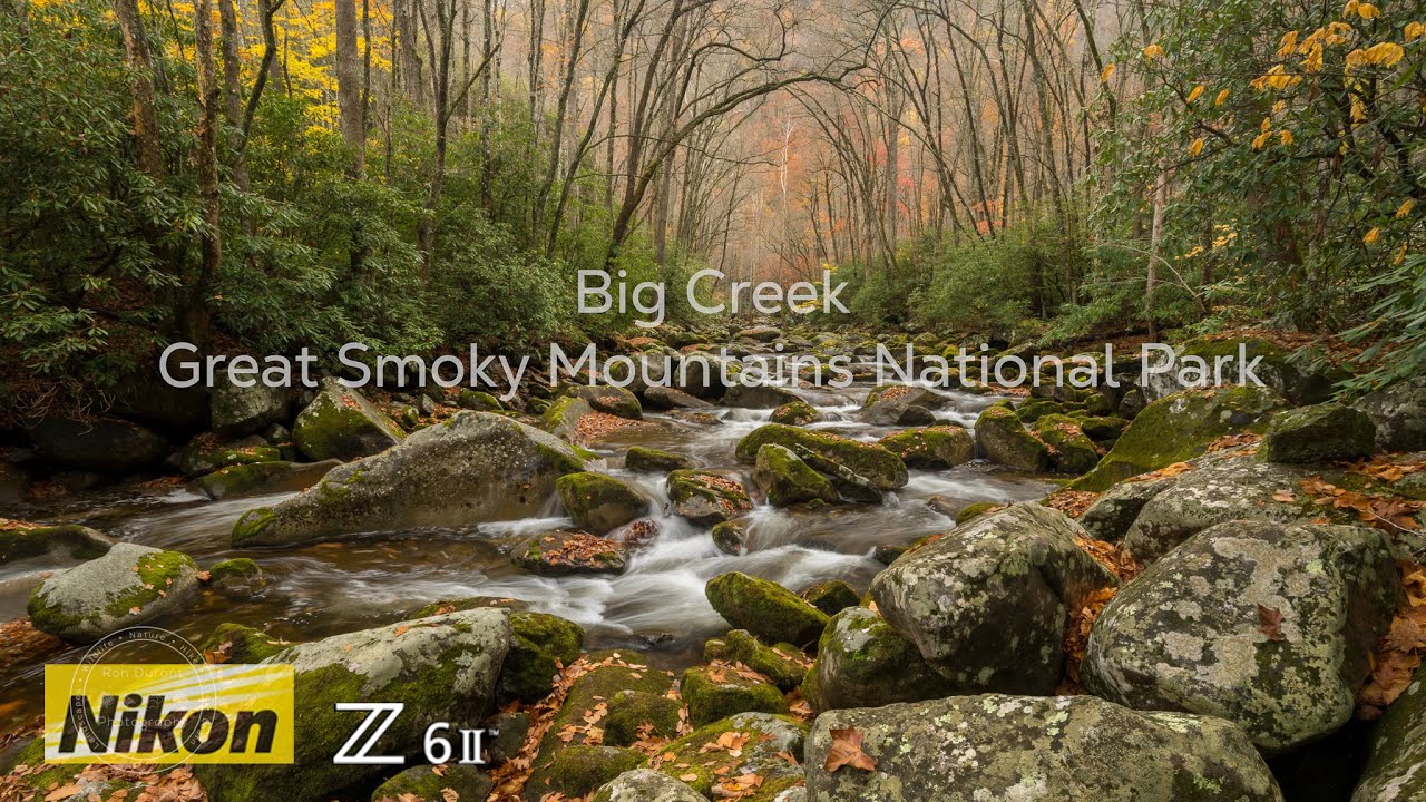 Big Creek Area   Great Smoky Mountains   Waterfall Photography