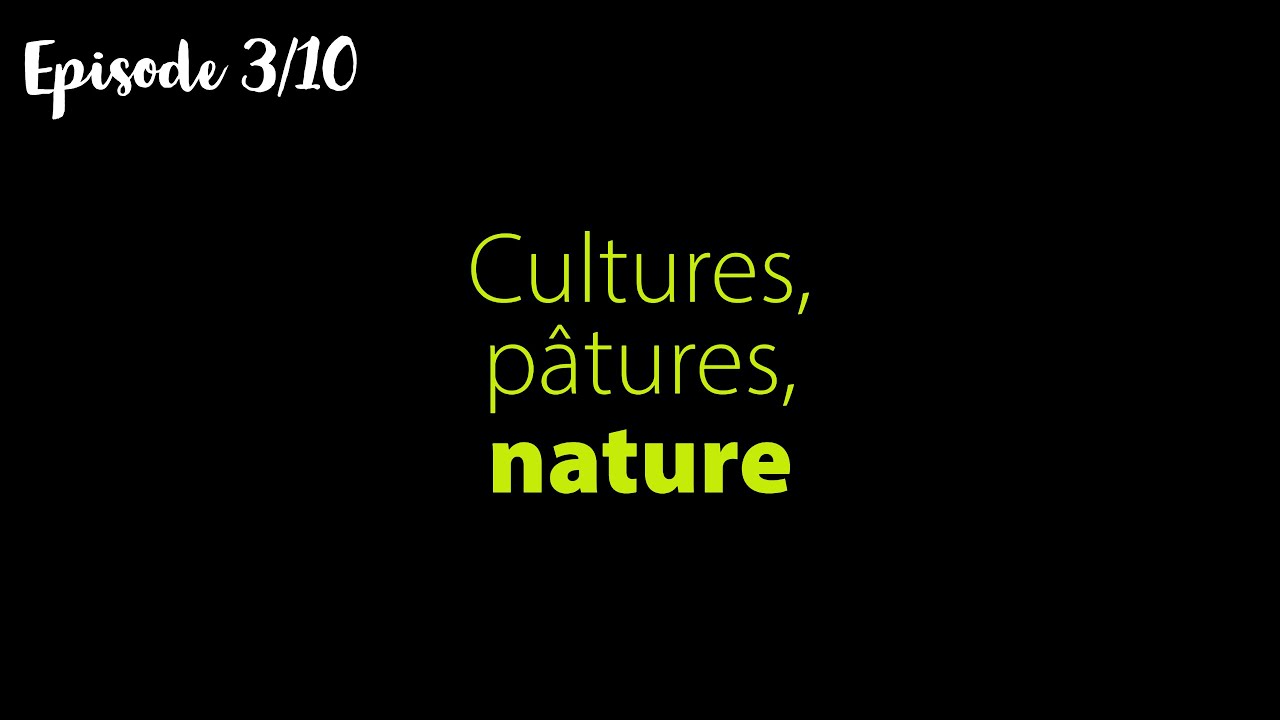 Série Libre Evolution – E3 – Cultures, pâtures, nature