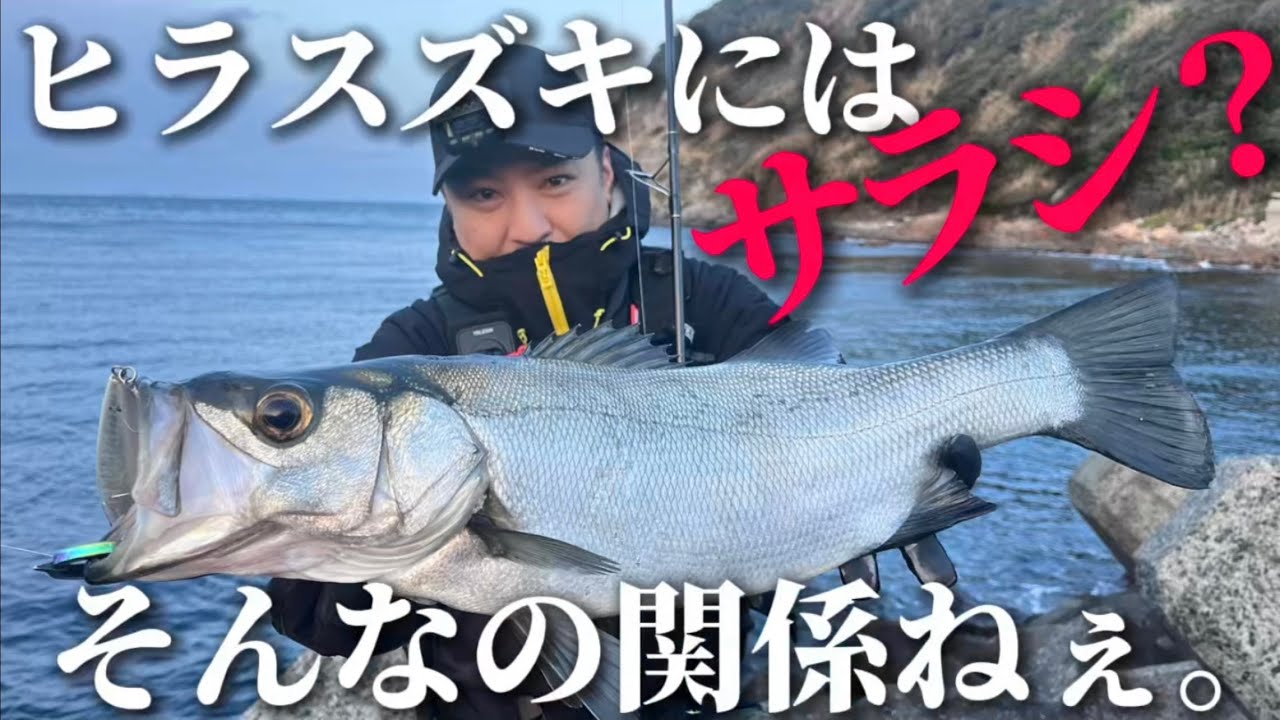 【ヒラスズキ】サラシなんて関係ねぇ！ヒラスズキはこんなとこでも釣れます！