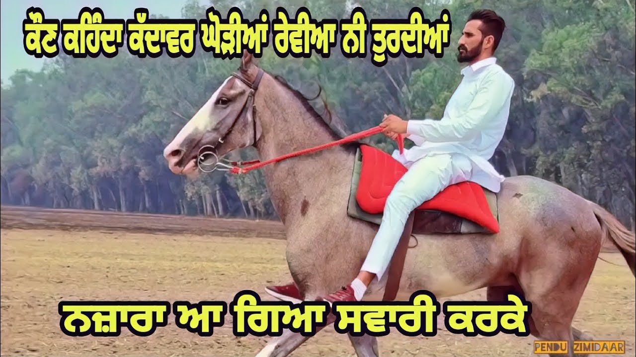 Riding rewal chal with beautiful mare Beant mann 9803837038