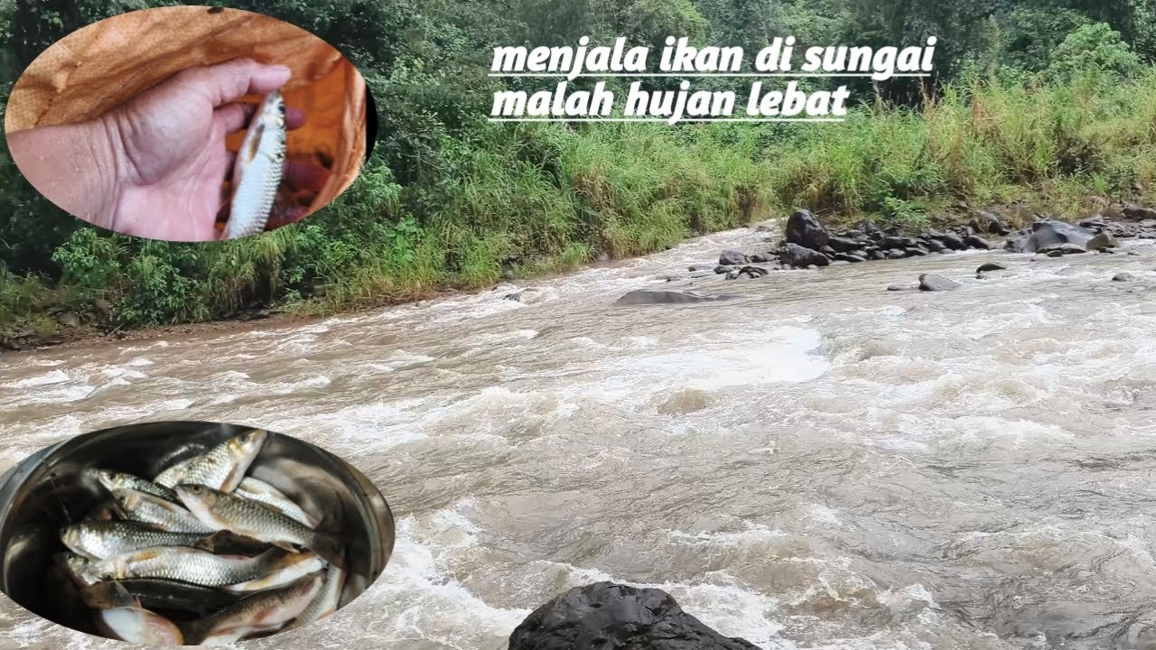Cari rezeki di sungai