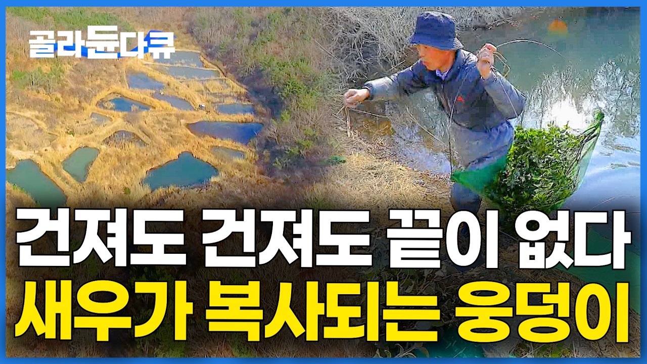 하루 100만 원. 산속에 파놓은 1만 평 웅덩이를 뒤적거렸는데 대박｜토하 양식｜한국기행｜#골라듄다큐
