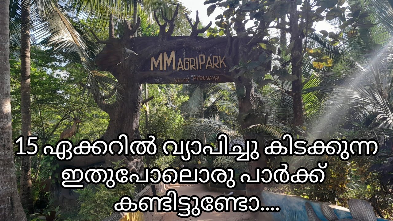 🔥MM Agri Park🔥From Spread Over 15 Acres Located In Kuttyadi Velam Peruvayal In Kozhikode District