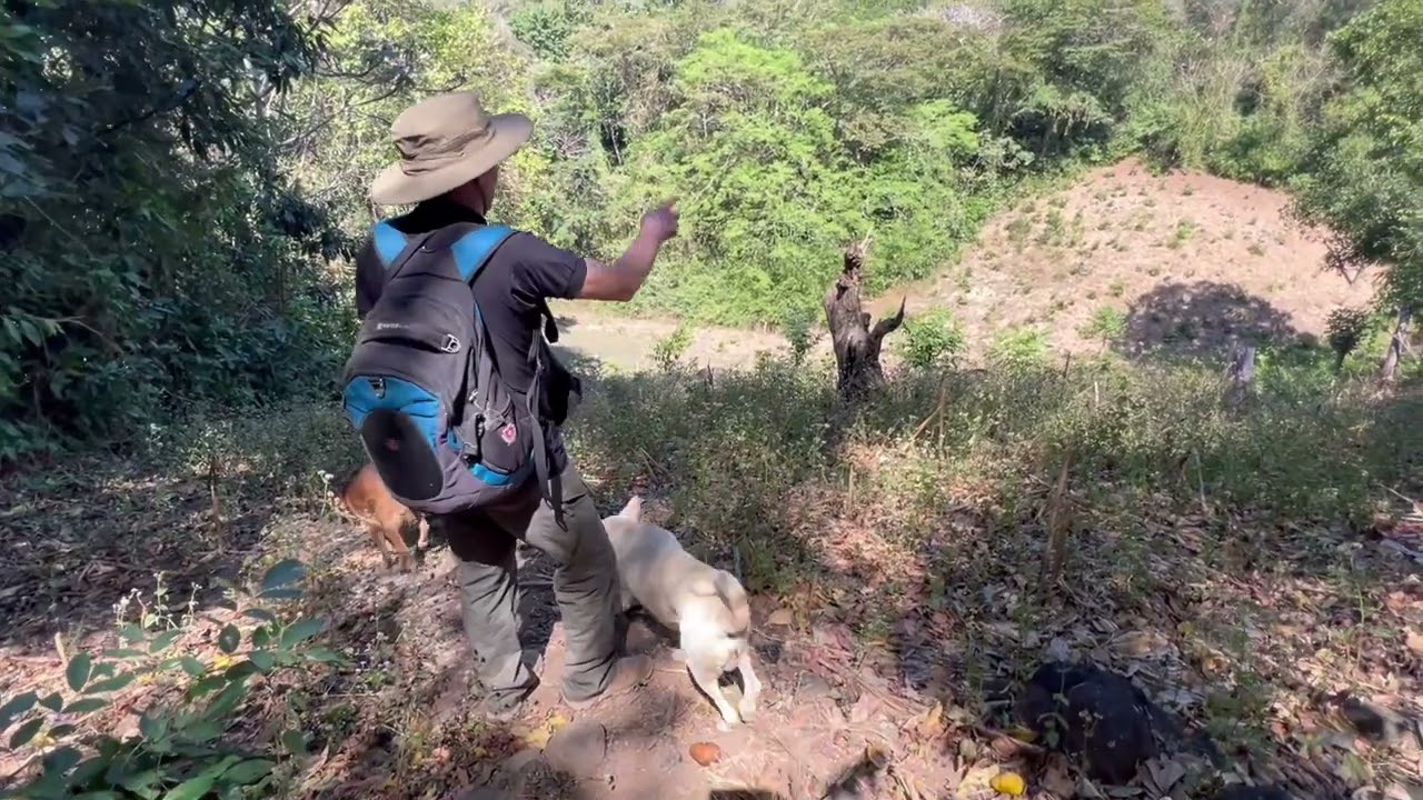 Por Poco Nos Damos La Mano Con Uno Del BIRI Belloso Sur Del Cerro De Guazapa 