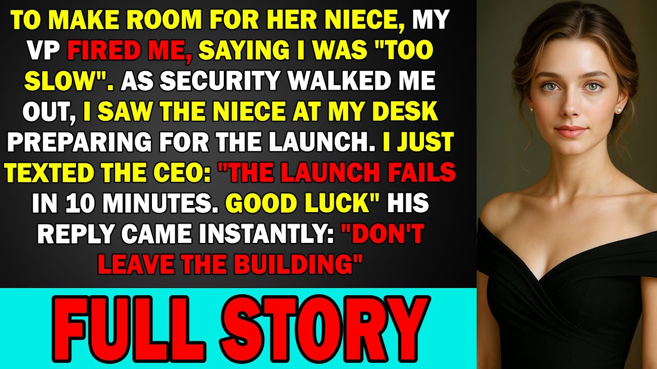 Fired for Being 'Too Slow', I Let the VP's Nepotism Crash the Launch Corporate Revenge