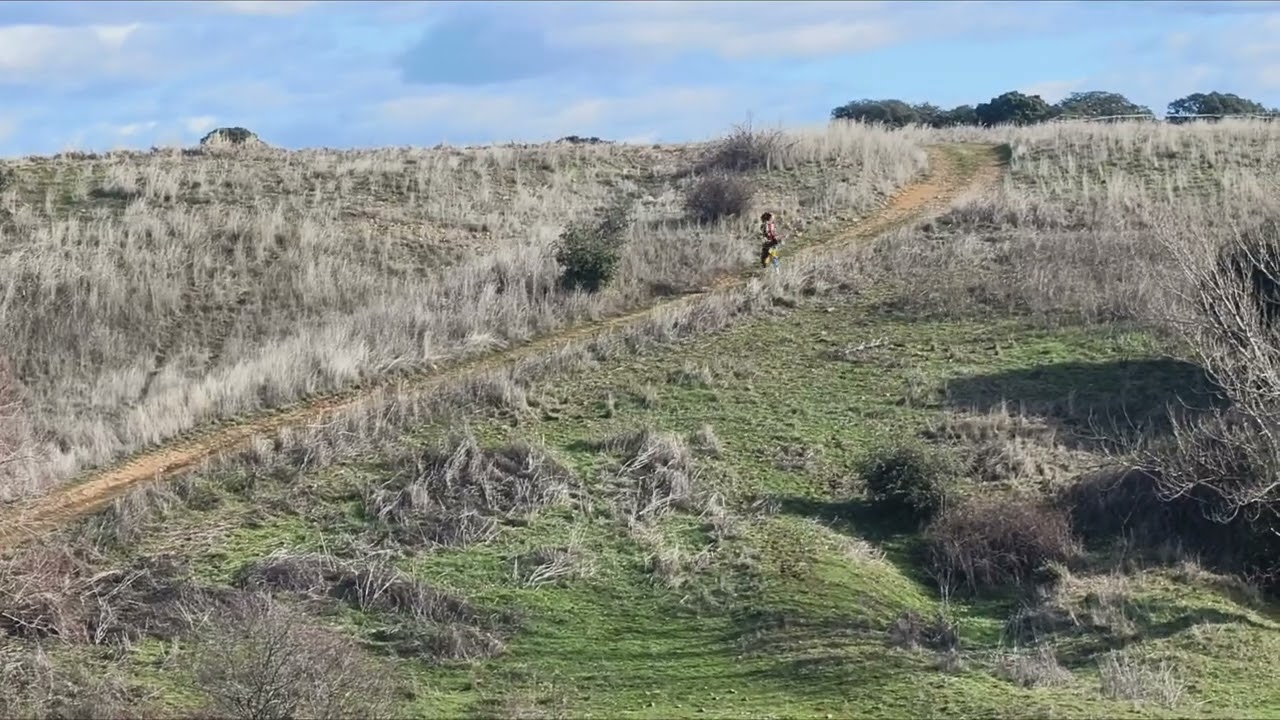 2026 Bajada de la Botarga 