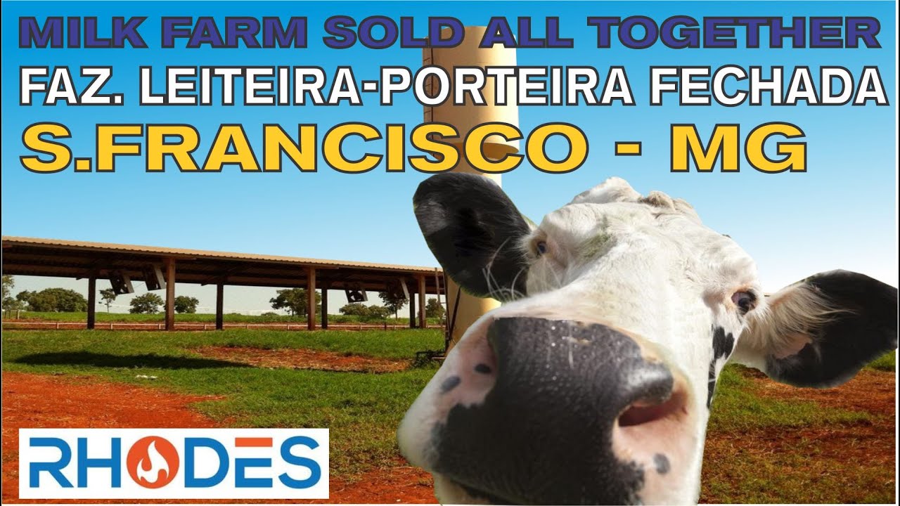 FAZENDA LEITEIRA EM MINAS GERAIS - PORTEIRA FECHADA / MILK FARM IN BRAZIL - SOLD ALL TOGETHER.